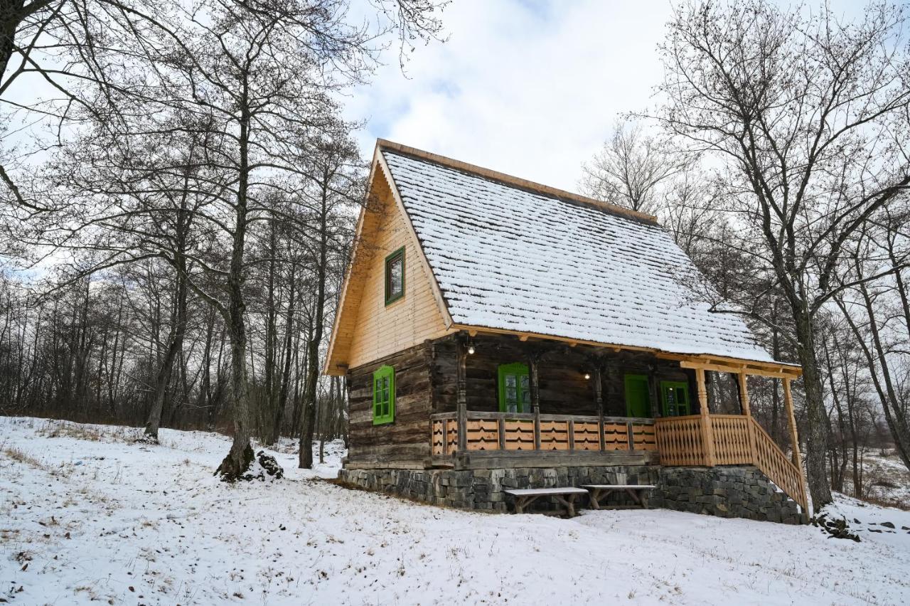 Вілла Casa Trifoi - Poiana Creasta Cocosului Breb Екстер'єр фото